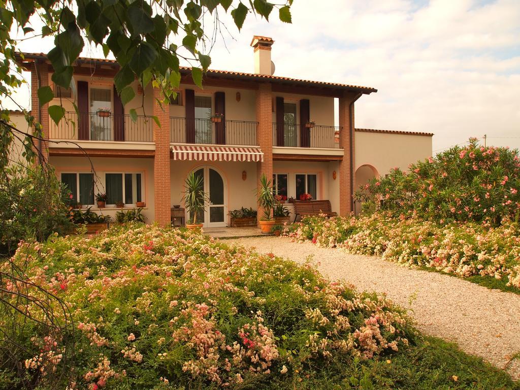 Agriturismo Il Magicorto Cassola Zewnętrze zdjęcie