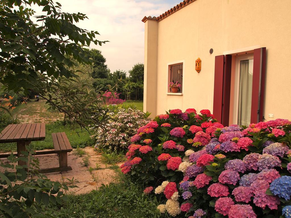 Agriturismo Il Magicorto Cassola Pokój zdjęcie