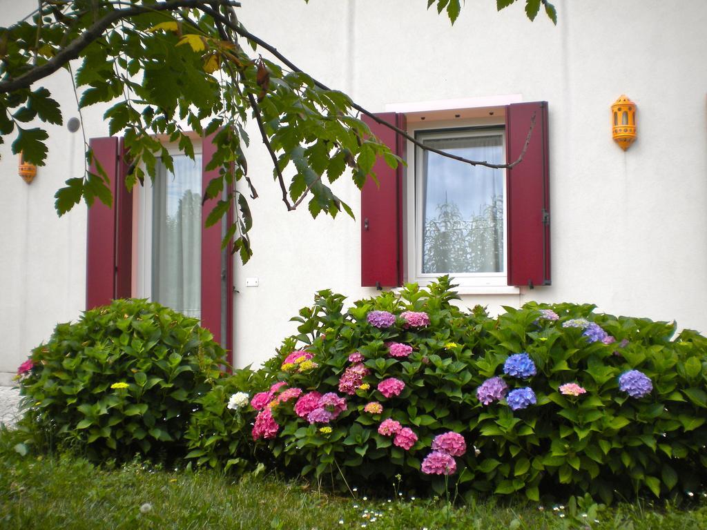 Agriturismo Il Magicorto Cassola Pokój zdjęcie