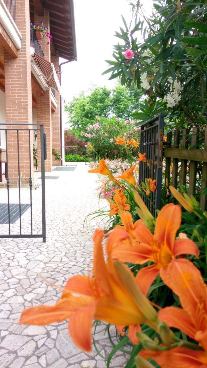 Agriturismo Il Magicorto Cassola Zewnętrze zdjęcie