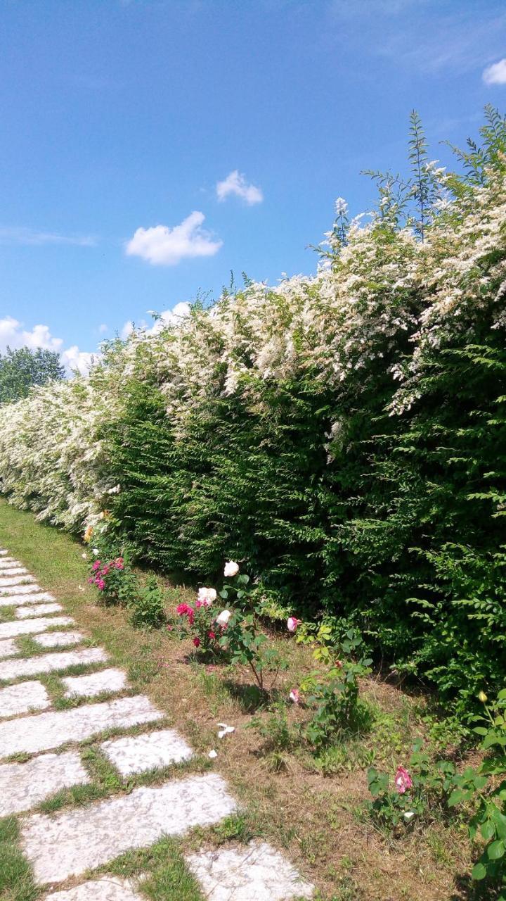 Willa Agriturismo Il Magicorto Cassola Zewnętrze zdjęcie